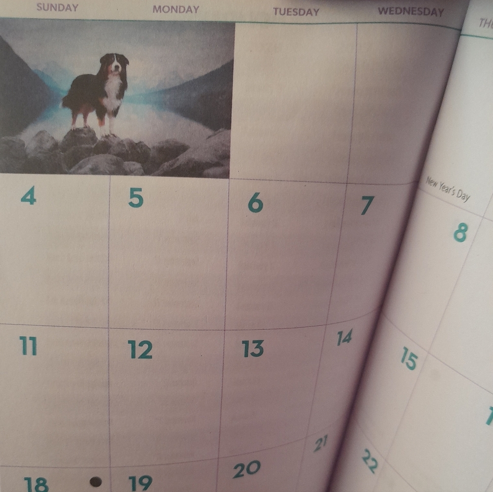 Two-Year Planner With Dogs - Picture 2 of 10